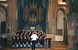 IDJ met Dieter Van Handenhoven aan het orgel in Magdeburg   1991 - Foto Archief
